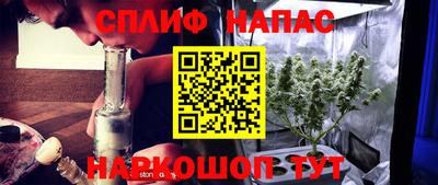 мяу мяу мука Донской