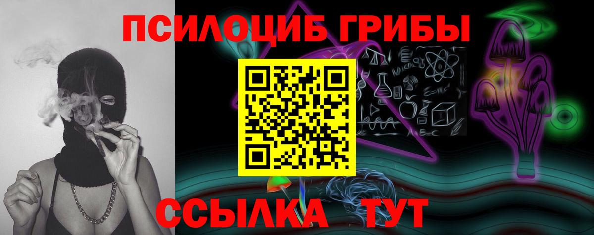 Псилоцибиновые грибы мухоморы Лениногорск