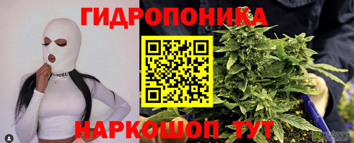 Бошки Шишки индика Лениногорск